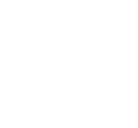 T-38A TOLD app icon